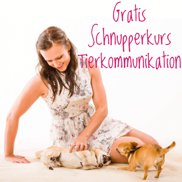 Frau Hunde Kommunikation telepathisch gratis Kurs Tierkommunikation