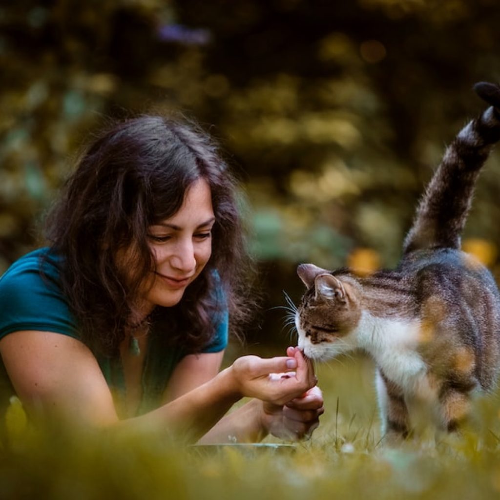 Tierkommunikation Ausbildung Katze