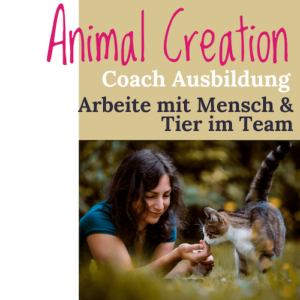 Tierkommunikation Ausbildung online Tierkommunikator Ausbildung Animal Creation Coach
