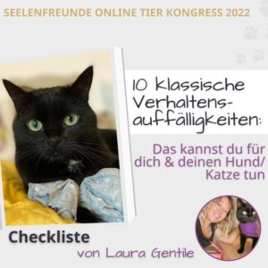 Tier Onlinekongress Verhaltensauffälligkeiten Hund Katze
